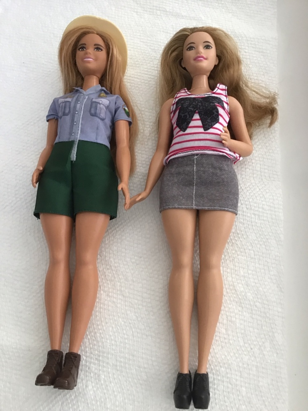 Barbie Park Ranger doll+ fashionista doll